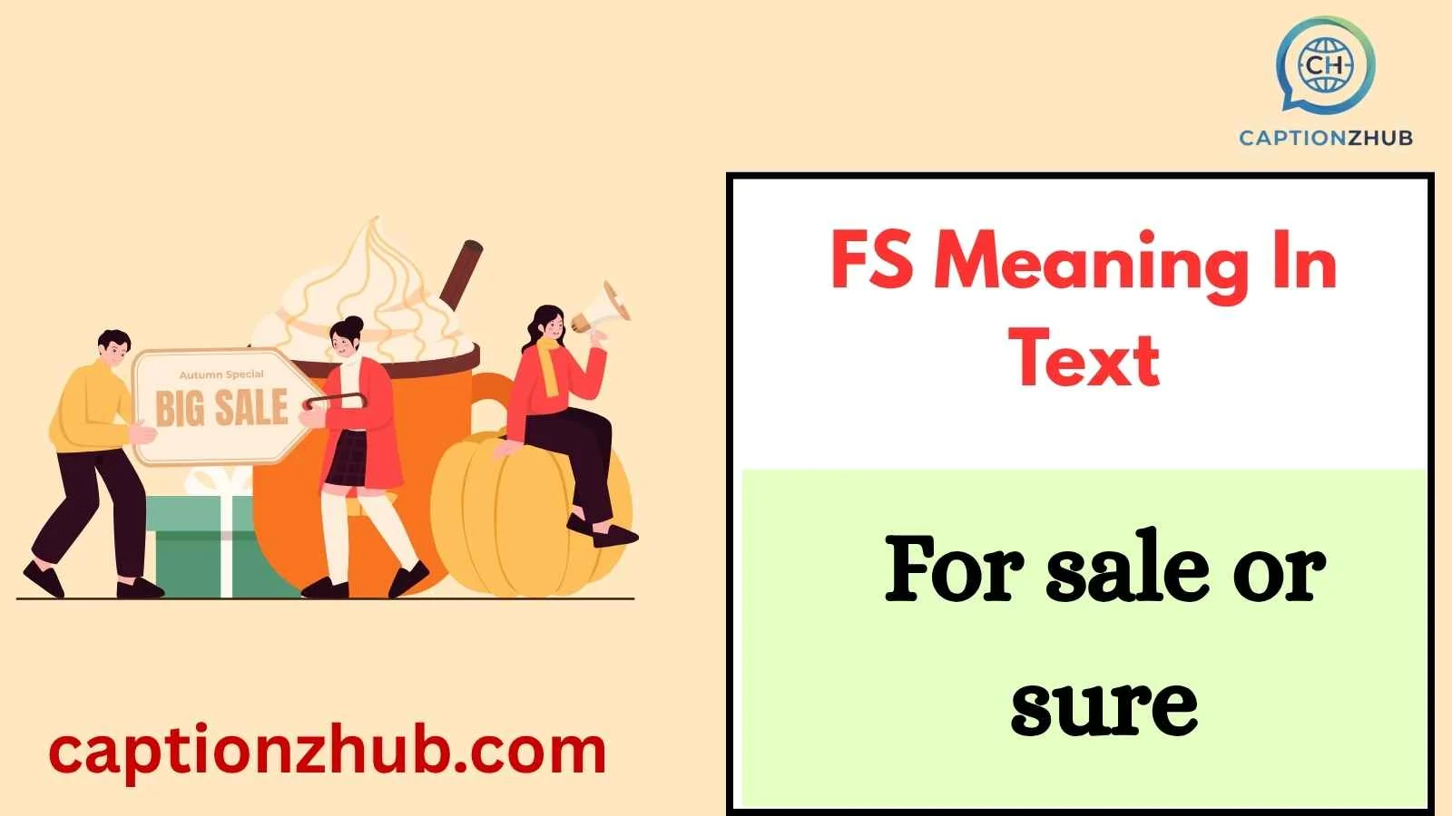 FS Meaning In Text