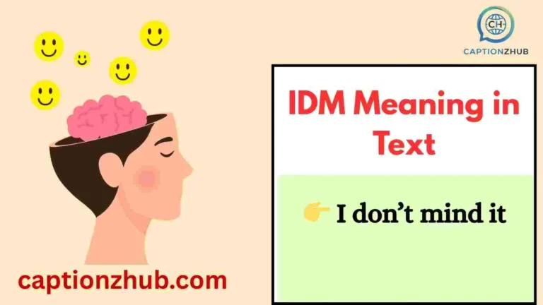 IDM Meaning in Text