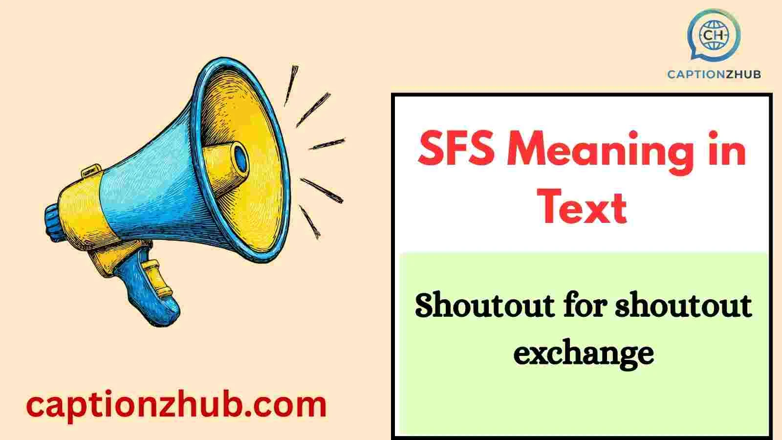 SFS Meaning in Text