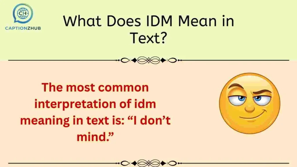 What Does IDM Mean in Text?