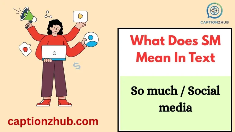 What Does SM Mean In Text