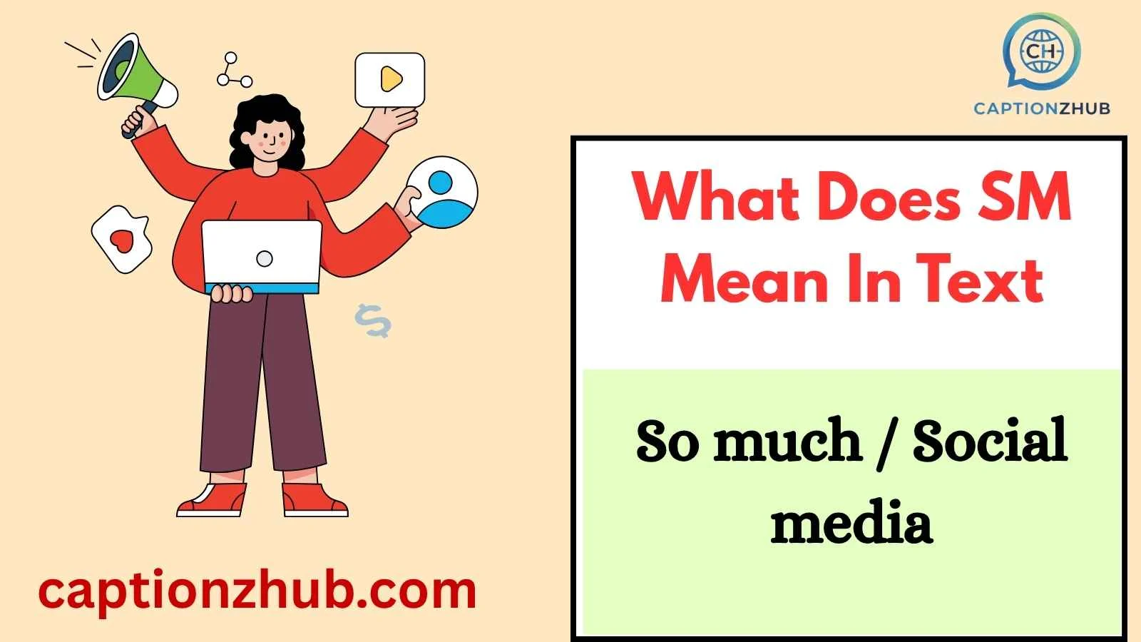 What Does SM Mean In Text