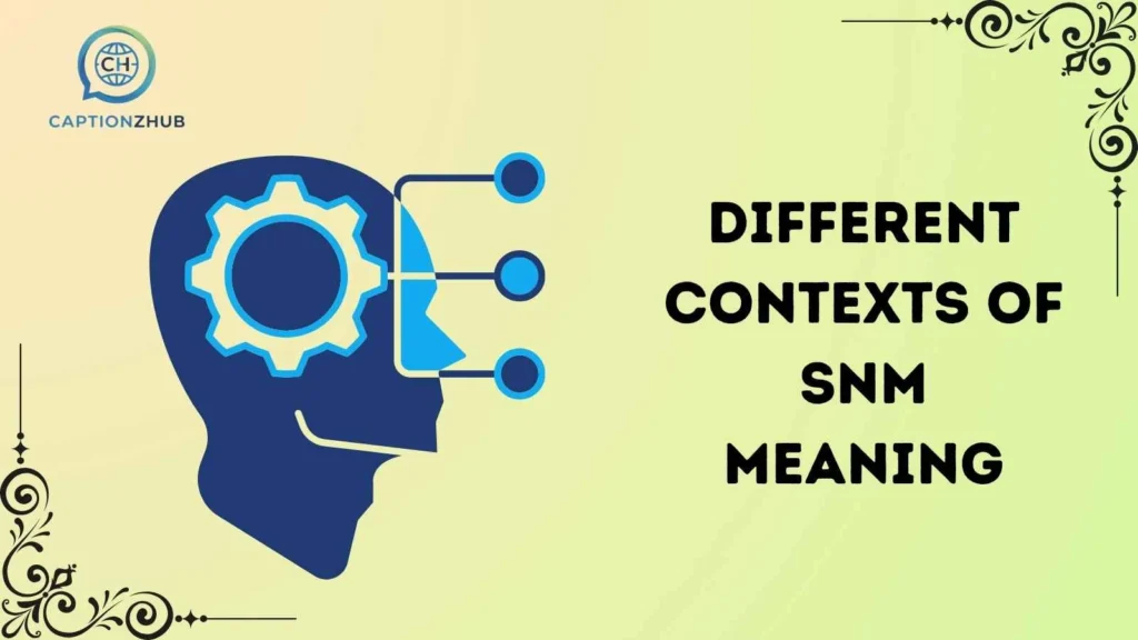 Different Contexts of SNM Meaning