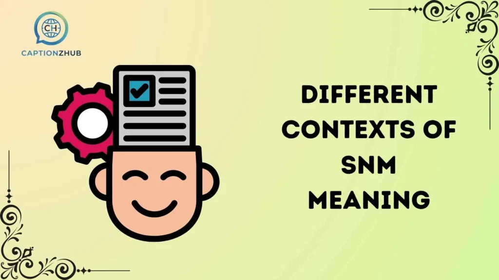 Real-Life Examples of SNM Usage