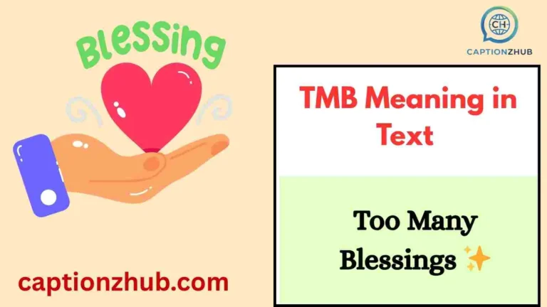 TMB Meaning in Text