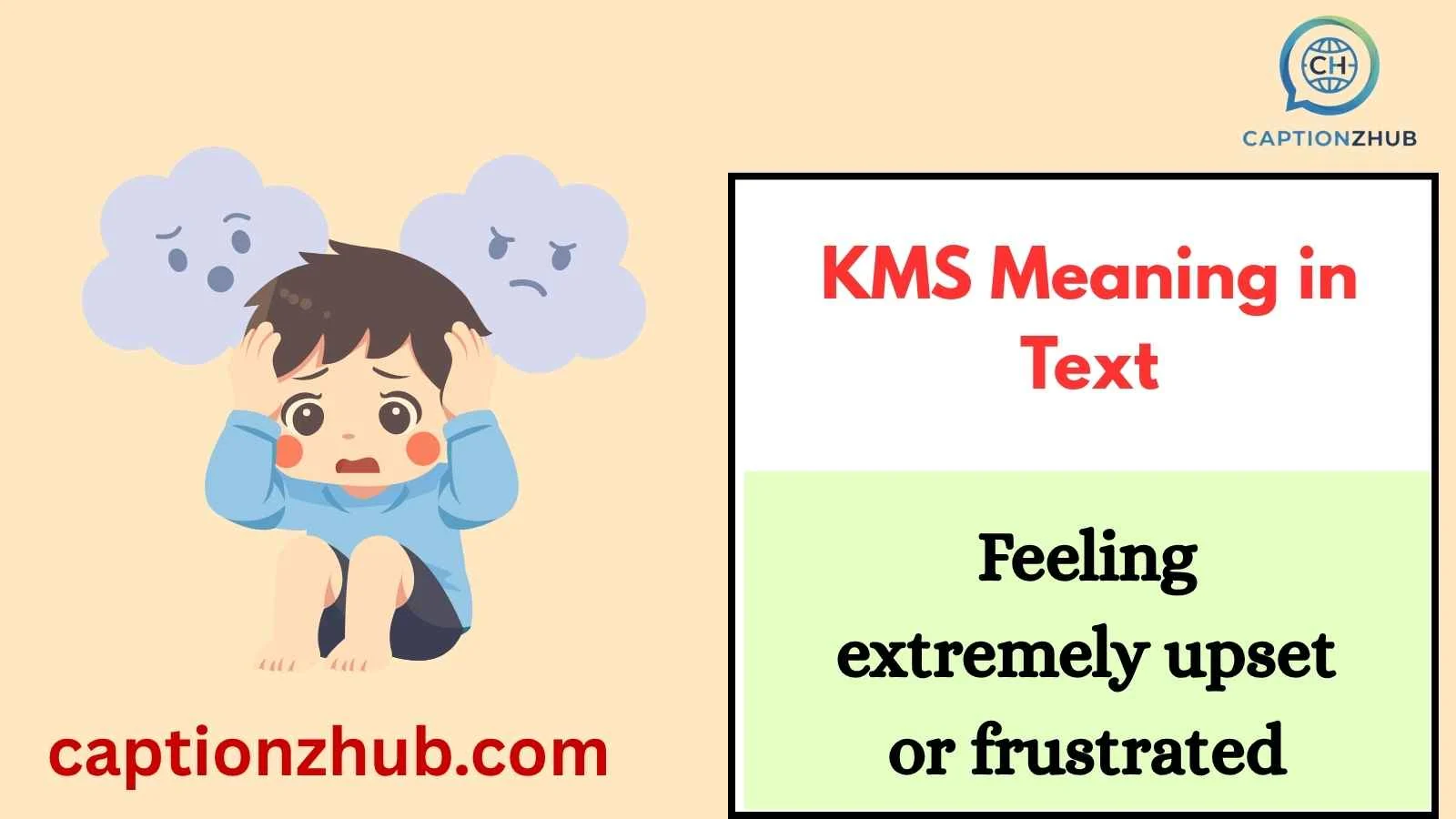 KMS Meaning in Text