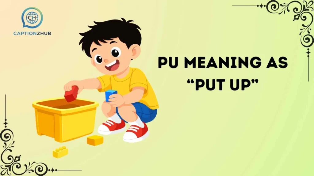 PU Meaning as “Put Up”
