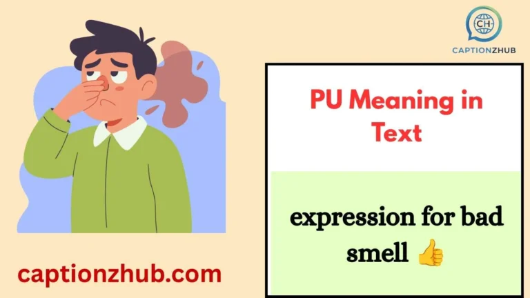 PU Meaning in Text