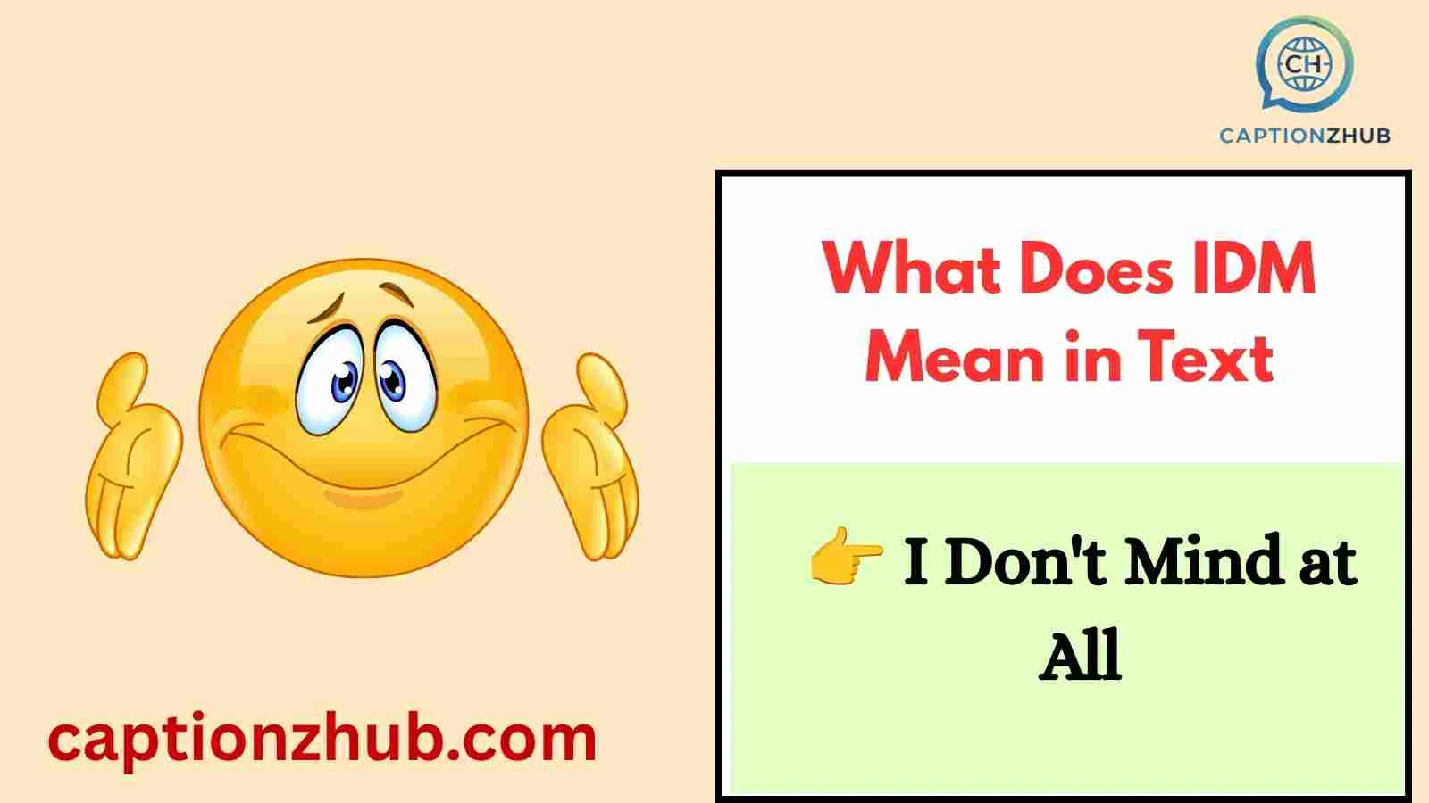 What Does IDM Mean in Text